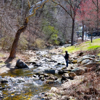 Springtime fly fishing in brook at Kent Falls