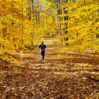 Un corredor que se abre paso con energía por el bosque otoñal.