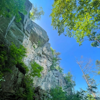 A majestic cliff face towering above the greenery of the plant life below.
