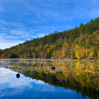 A still pond nestled beneath colorful fall foliage and a blue sky.