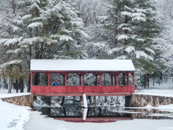 Winter scene of woman on covered bridge at Stratton Brook State Park