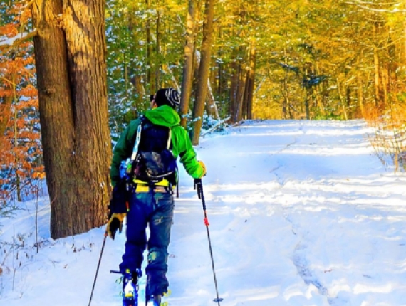 A man skiing through the woods (Instagram@ctvisit)